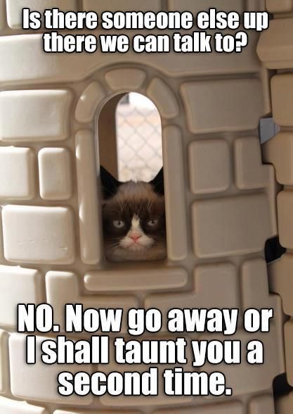 Monty Python. This is one of the best Grumpy Cat memes I've seen