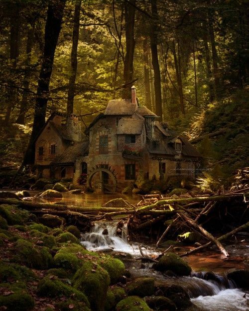 Old Mill, Black Forest, Germany. Looks like a fairy tale.