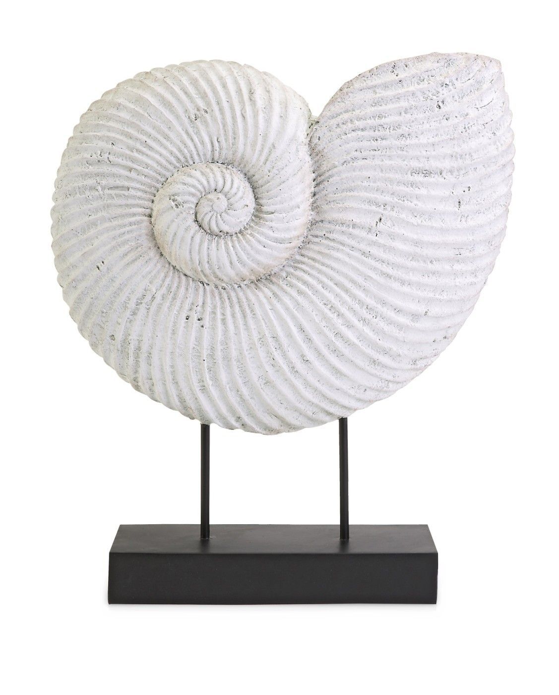 Ramsey Sea Shell On Stand