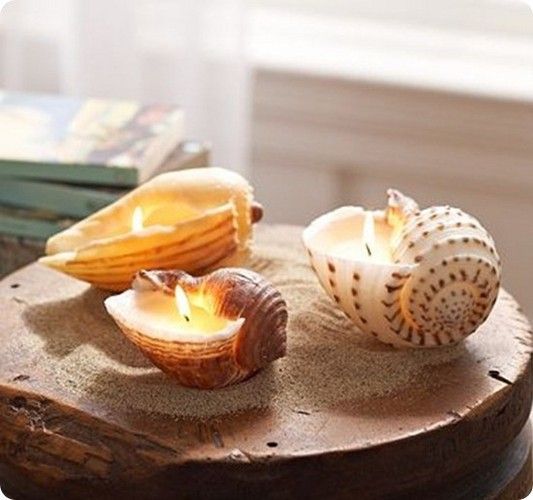 Seashell candles