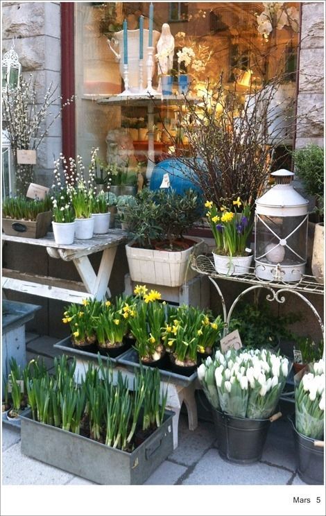 Swedish flower shop