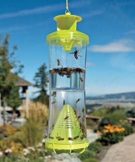 The WHY Insect Trap is proven to catch 21 species of flying, stinging insects.
