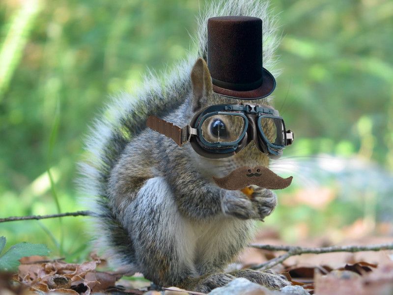 steampunk squirrel
