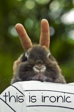 that IS ironic!!! haha bunnies ♥