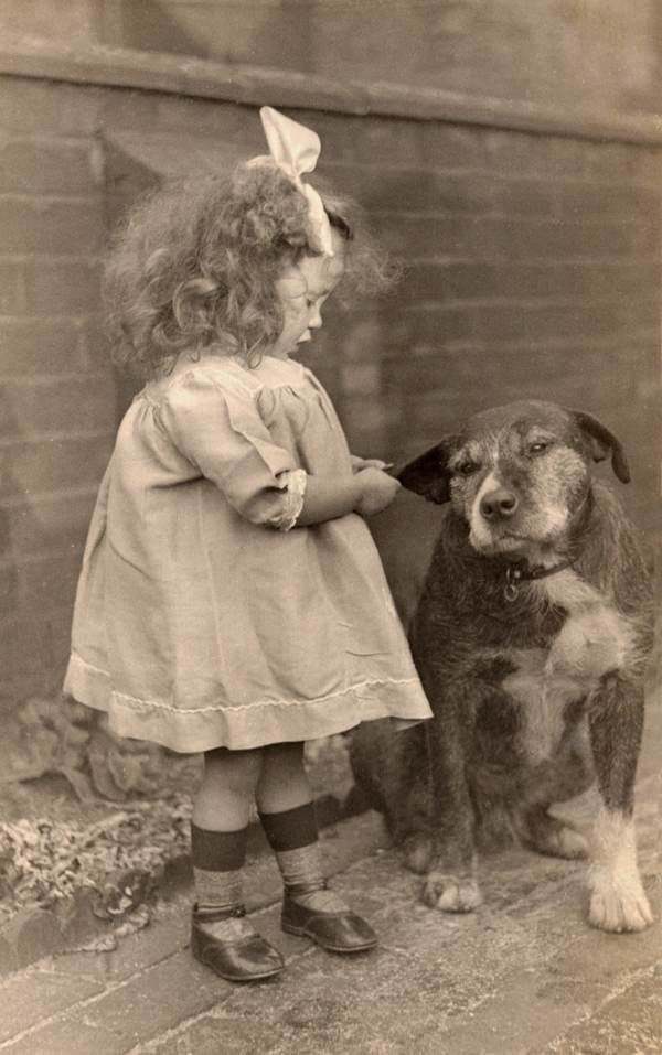 vintage everyday: Interesting Old Photographs of Dogs and Their Owners