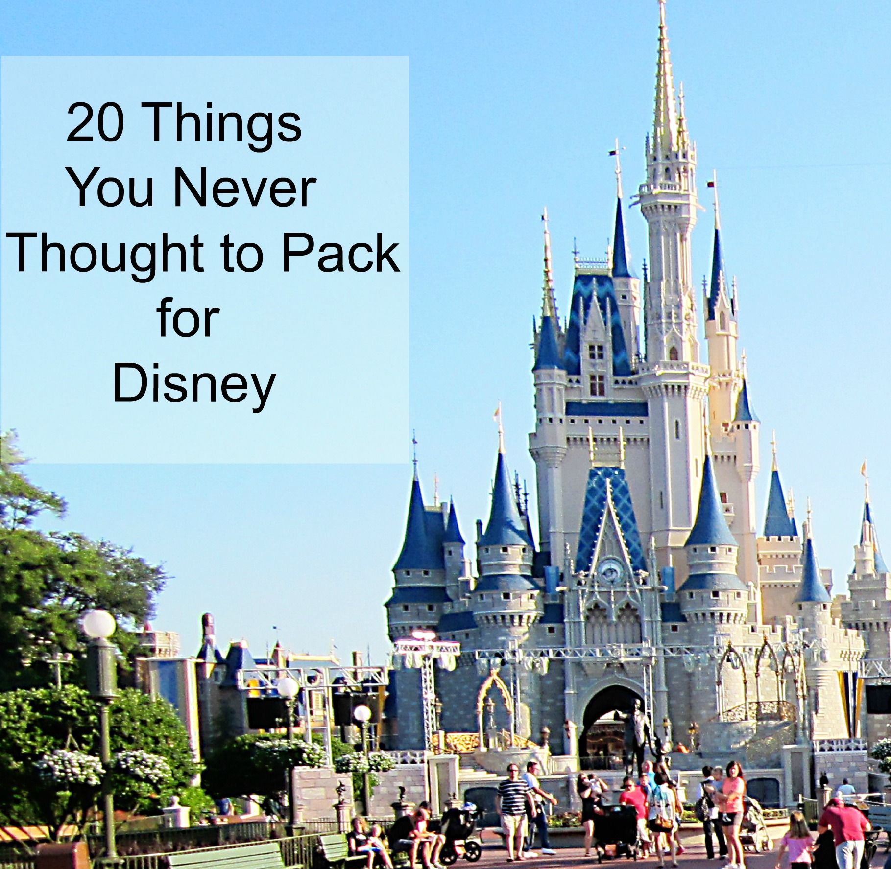 20 Things You Never Thought to Pack for Disney World | Steals and Deals in Halto