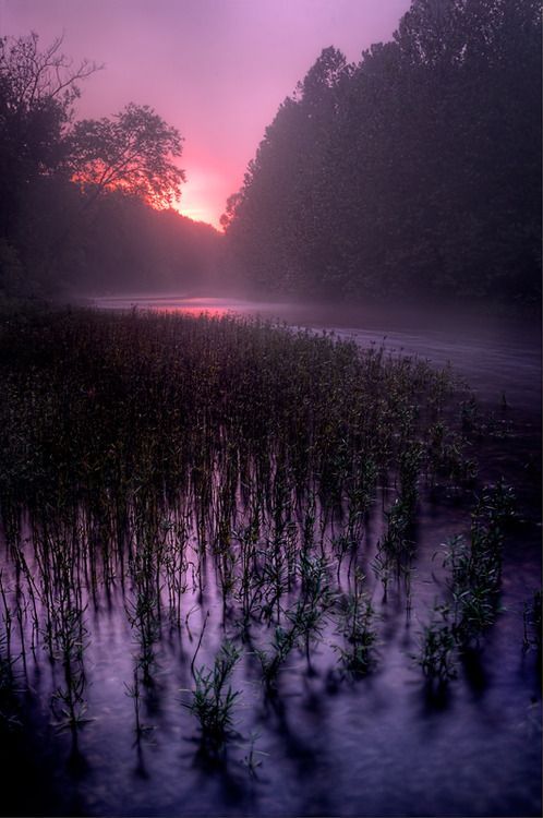 ♥♥      Dawn Mist By Robert Charity #Photography #Beautiful #Places