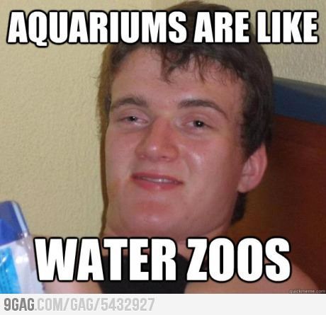 Aquariums are like water zoos.