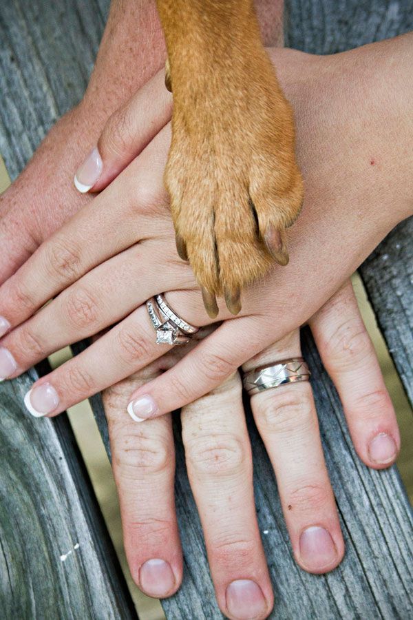 Cute way to include your dog in a wedding photo! @Kariann Harker we will get Bea