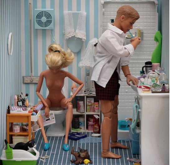 From the Barbie Realistic Expectations  Dream House