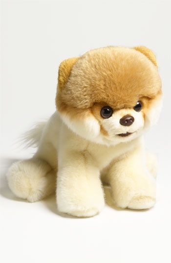 Gund 'Boo – World's Cutest Dog' Stuffed Animal #boo