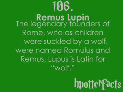 Harry Potter facts 106