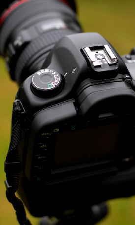 How to set up a digital SLR camera to take good pictures.