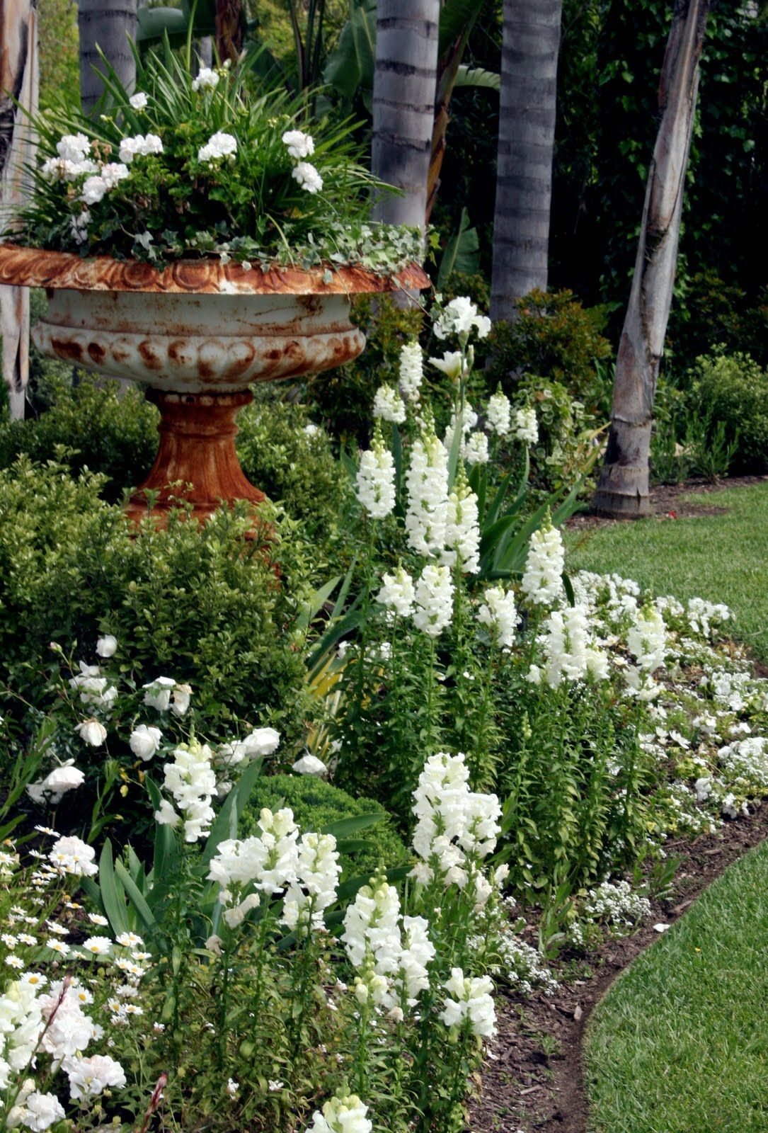 If you don't want to commit to an entire white garden, here's a great ex