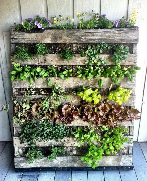 Learn How to Make a Pallet Garden in 7 Easy Steps!