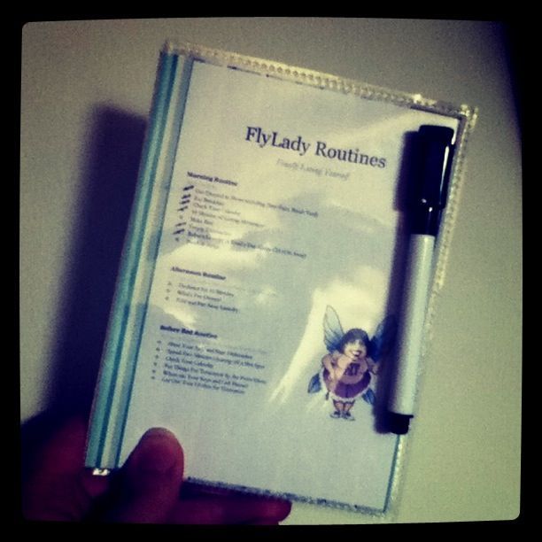 Make a FlyLady Control Journal that fits in your purse!