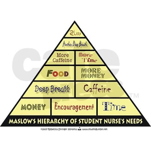 Maslow's Student Nurse Hierarchy!!!