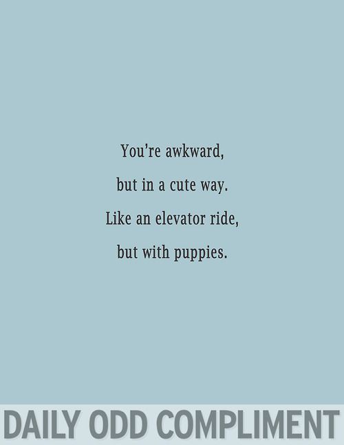 "Puppy Elevator"