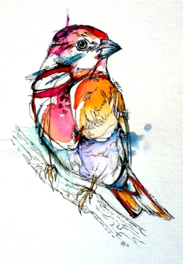 Really Adorable Sparrow by Abby Diamond, via Behance