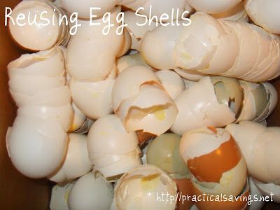 Reusing Eggshells – Practical Savings