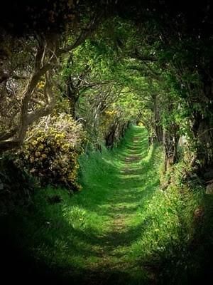 The round road in Ireland
