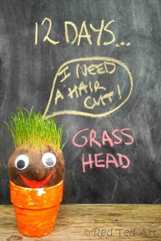 Time for some Grass Heads. A brilliant Spring and Summer Time project!