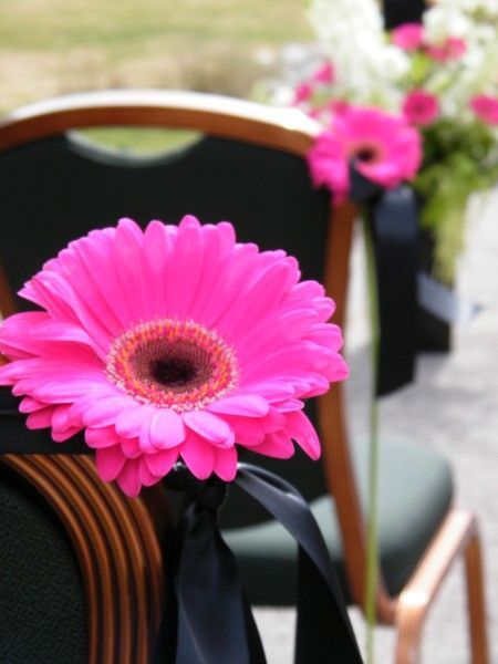 Wedding aisle decor- this is perfect just need a turquoise gerbera daisy instead