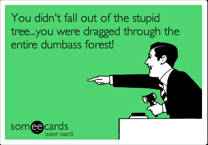 You didn't fall out of the stupid tree…
