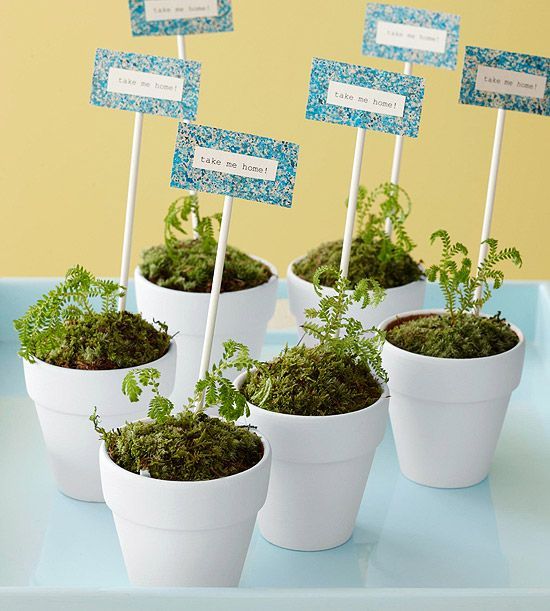 a great idea for a garden party – plant party favors!