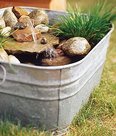 potted ponds: mini water garden
