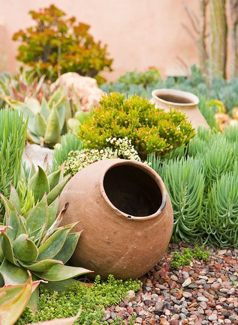 succulent garden > this is going to become an increasingly popular option in
