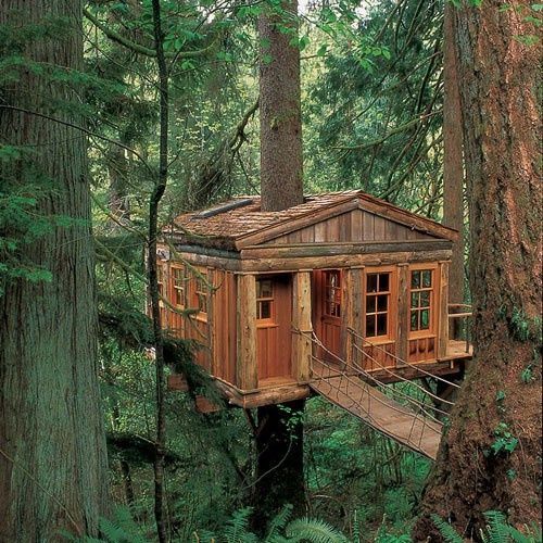 treehouse point