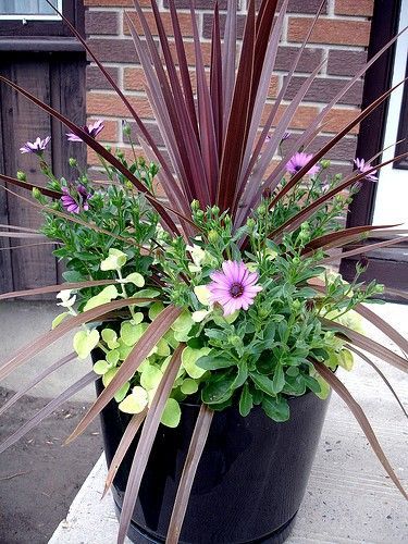 A collection of wonderful looking container garden design ideas . All would make