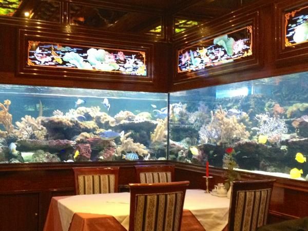 Amazing fish tanks in this very traditional Shanghai Restuarant ! We are literal