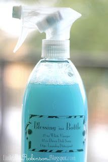 Blessing 'in a Bottle    12 oz. of White Vinegar  12 oz. of Dawn Dish soap