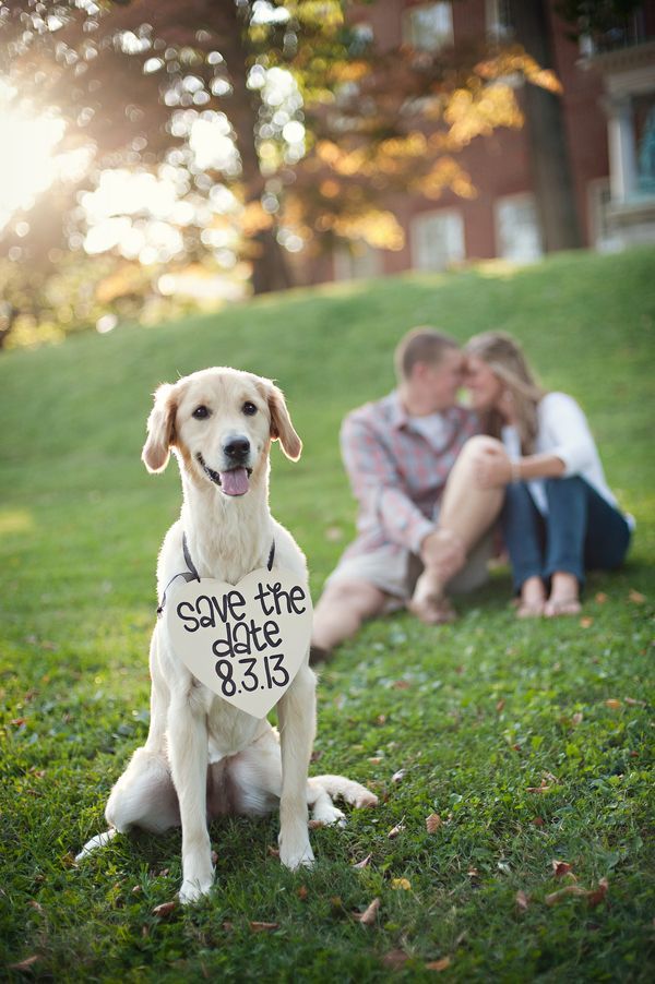 But instead of the dog, I want it to be Owen with a sign that says "My Momm