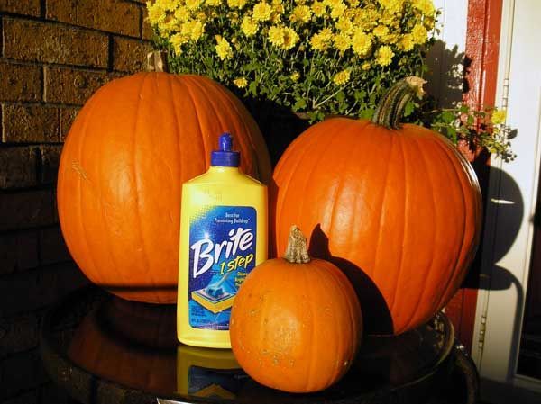 Coat your pumpkin with liquid floor cleaner and it preserves them for the whole