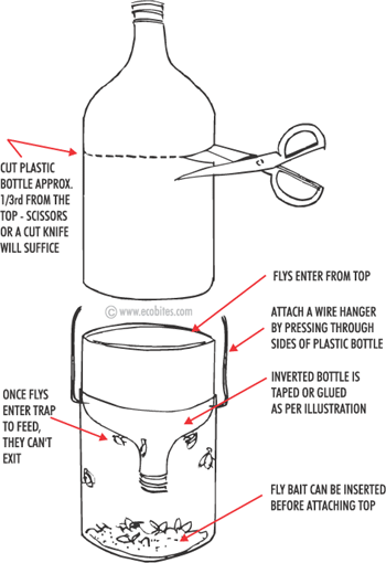 DIY: ORGANIC FLY TRAP    Supplies:    A two-liter soda bottle (used)  Sharp knif
