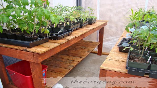 DIY greenhouse benches, great idea