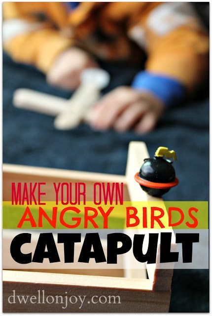 Dwell on Joy: {Make-Your-Own} Angry Birds Catapult!
