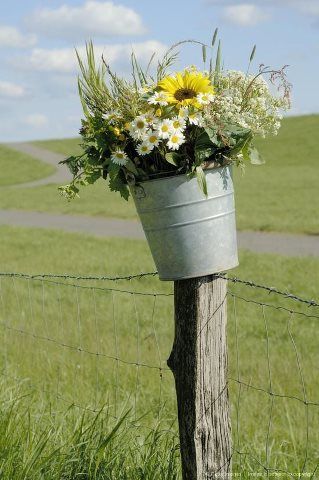 Fence Post and galvanized bucket with flowers~~
