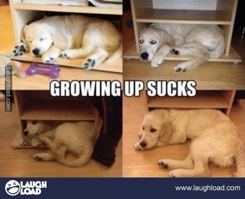 Growing up sucks