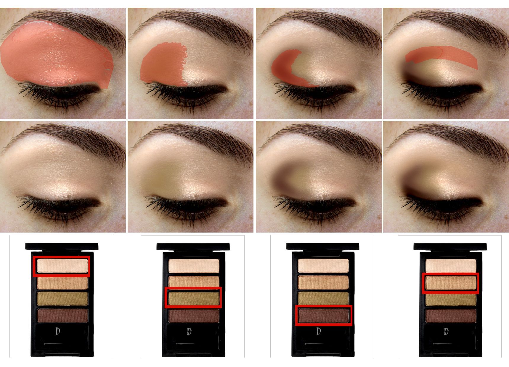 How to apply eye shadow properly – great visual