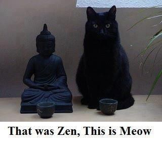 That was zen