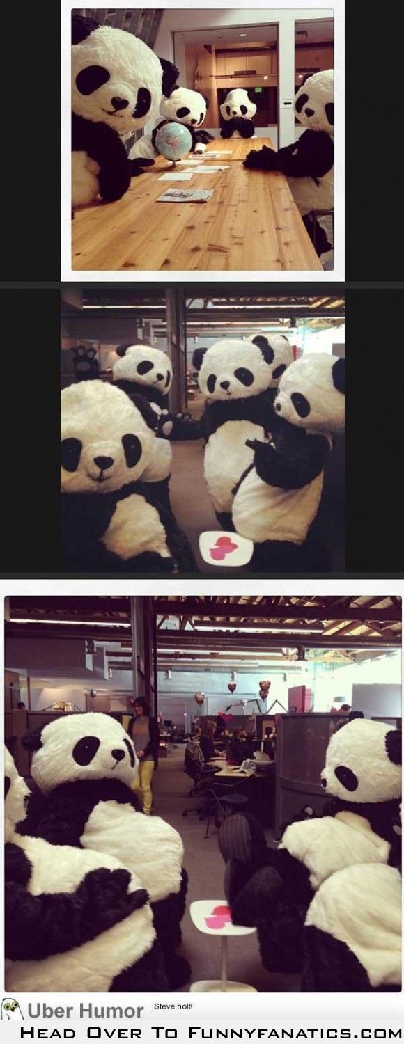 We found a box of panda costumes at work….. (I wish my work was that cool!)