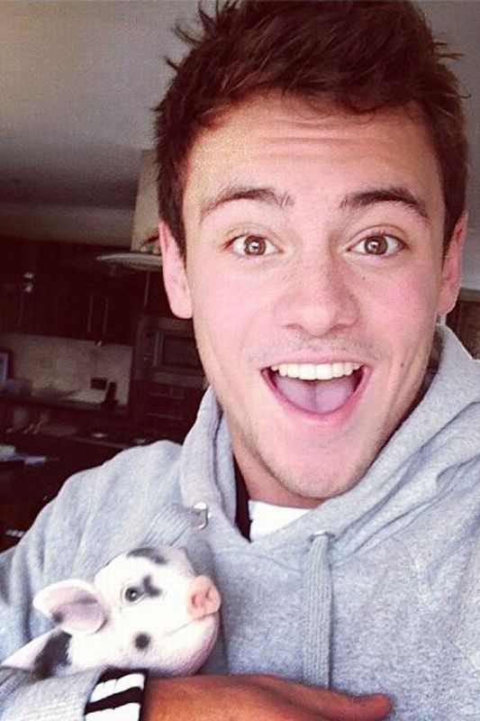 Who's cuter Tom Daley or his micro pig? DUH! The pig!i want the pig more!!!!