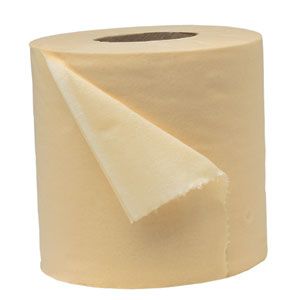21. Toilet paper makes the best, cheapest seed paper. -   32 Cheap And Easy Backyard Ideas