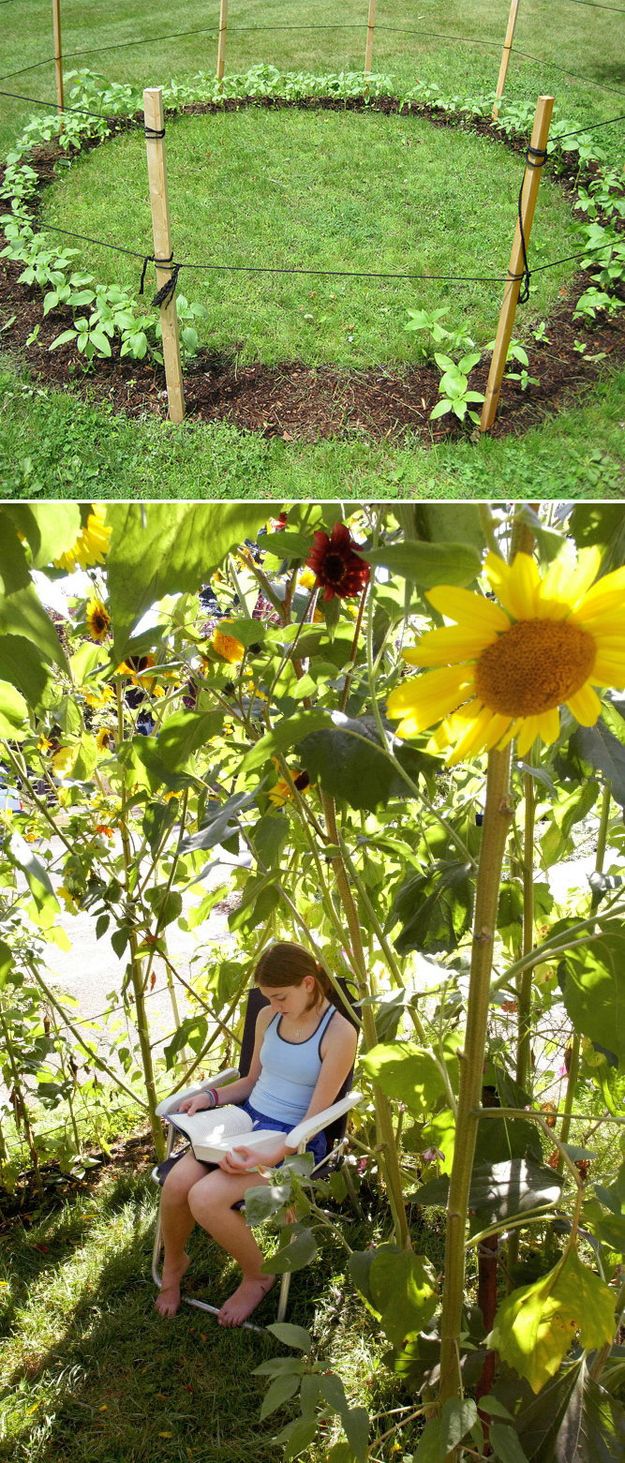24. Grow a sunflower house for the kids to play in. -   32 Cheap And Easy Backyard Ideas