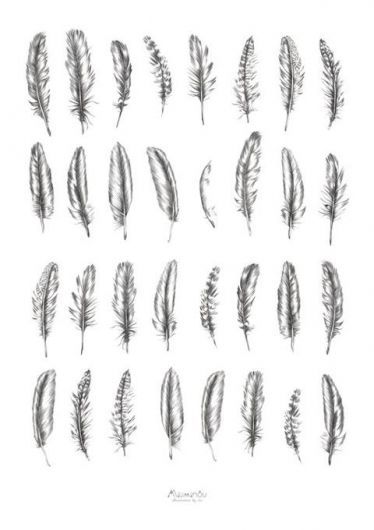 feather tattoo options