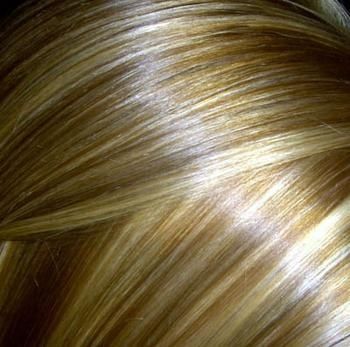 highlights in dirty blonde hair. I want this! but with my really dark brown hair